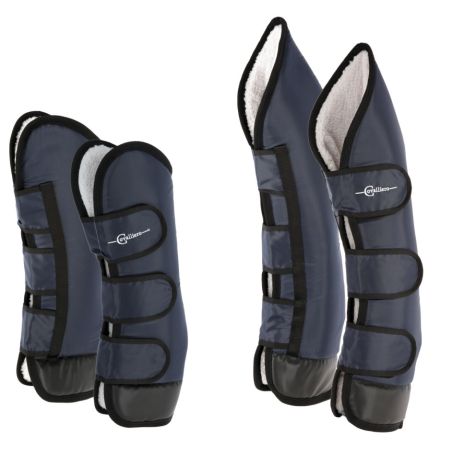 Transportbeschermers Dexter Covalliero