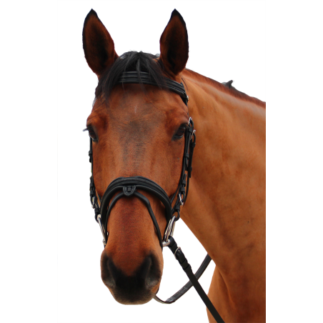 Bridon Canter Mylord