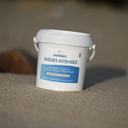 Premium Intense Zeewier Cavasso