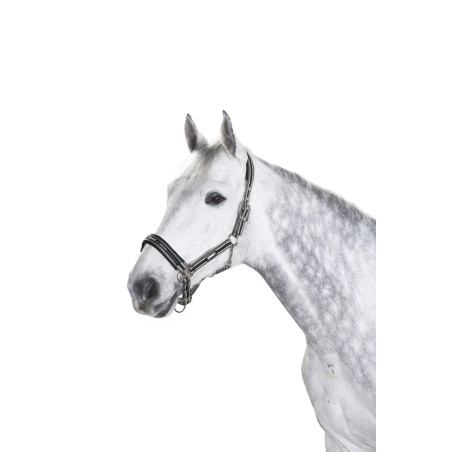 Halster Eskadron gesp