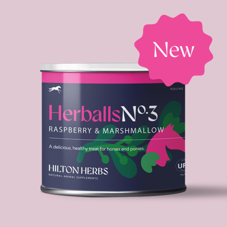 Herballs N° 3 Himbeere & Eibisch Hilton Herbs