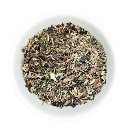 Brandnetelplant Hilton Herbs