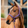 Halster en lijn Amigo Horseware - Winterbaai