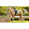LeMieux Loire Classic Dressuur Vierkant - Aqua