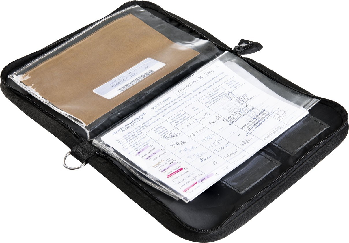 Zwarte documententas