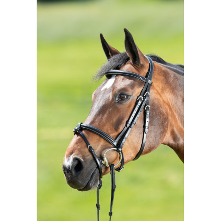 Anatomisch hoofdstel HFI