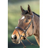 Bridon Shiny HFI - Bruin