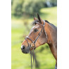 Bridon Technical HFI - Bruin