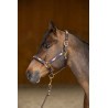Halter HFI Polo - Bruin / marine / goud