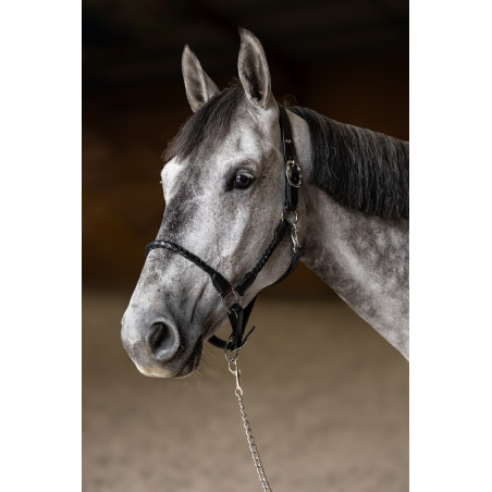 Gevlochten halster HFI