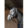 Kombiniertes Trensenzaum Painted HFI Master - Zwart