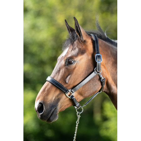 Lederen halster HFI Master dubbel verstelbaar leder