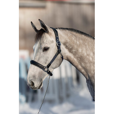 Halster leer nylon Mixed HFI Master