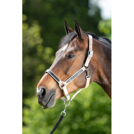 Halster First nylon HFI Master