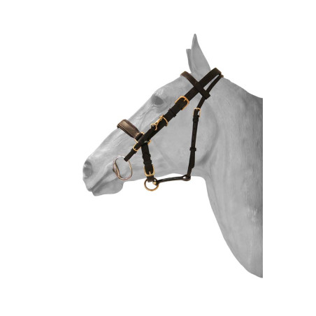 Kombiniertes Trensenzaum / Halfter HFI