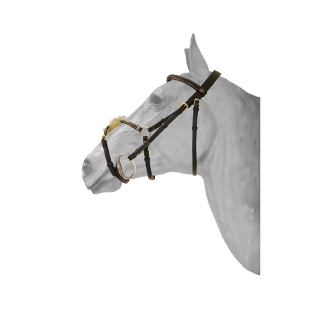 Bridon HFI Mexicaanse neusriem met sierstiksel