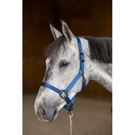 Halster nylon HFI Master