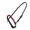 KLEIN NYLON HALSTER MET RING - Zwart / rood