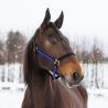 HALSTER YANKEE NYLON 20 MM - Zwart / blauw