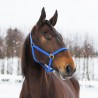 HALSTER YANKEE NYLON 20 MM - Blauw