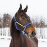 HALSTER YANKEE NYLON 20 MM - Blauw / geel