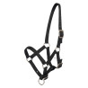 Halster veulen HV Polo Nena - Zwart