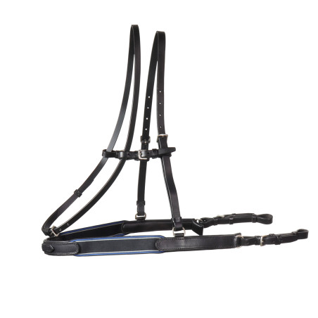 Bricole gevoerd Stübben