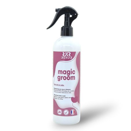 Droogshampoo Rekor Magic Groom