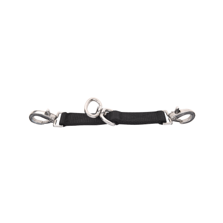 Bitriem van Waldhausen met musketons