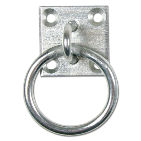 Bevestigingsring op Plaat Waldhausen