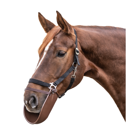 Mondbeschermer Waldhausen