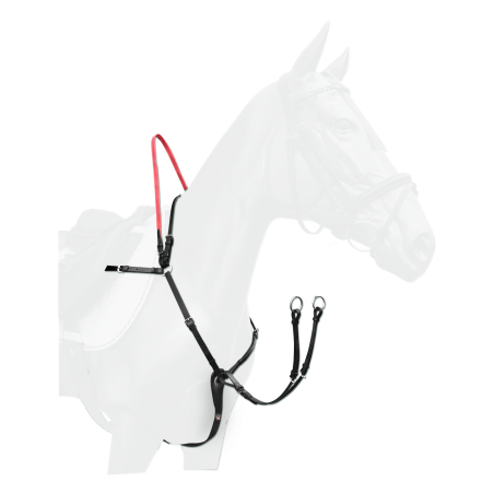 Bricole Waldhausen veiligheidsleidsels Secutrust