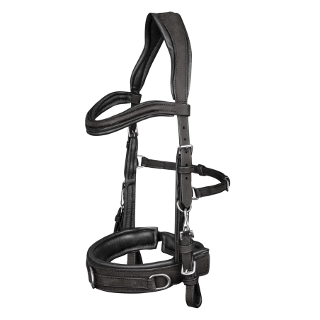 Waldhausen kaptoom van anatomisch leer