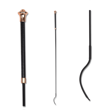 Dressuurzweep Waldhausen Noblesse