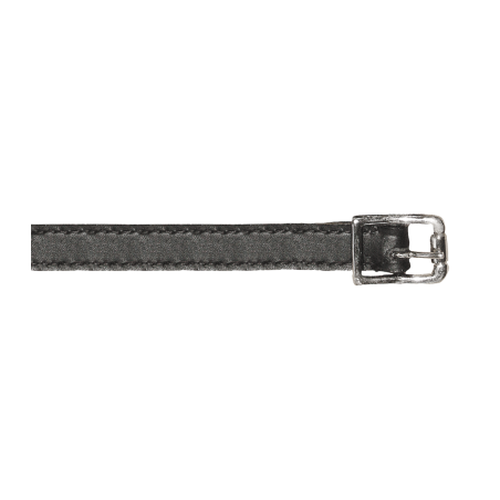 Waldhausen leren spoorriemen