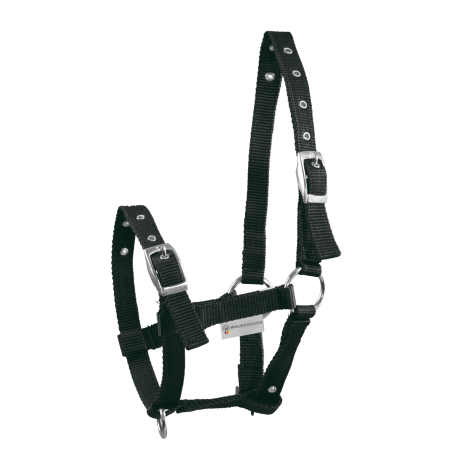 Veulenhalster Waldhausen Triple