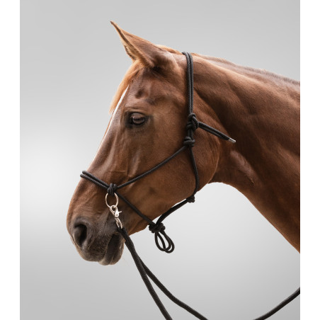 Waldhausen knoophalster met teugels