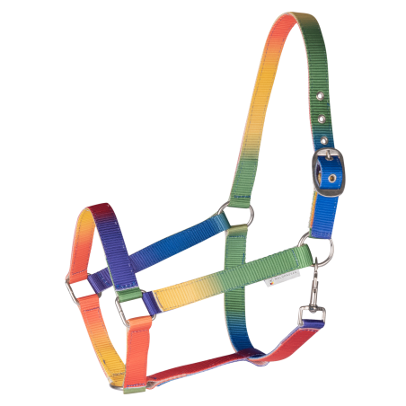 Waldhausen regenboog halster
