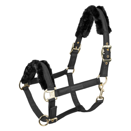 Halter Waldhausen Exclusive