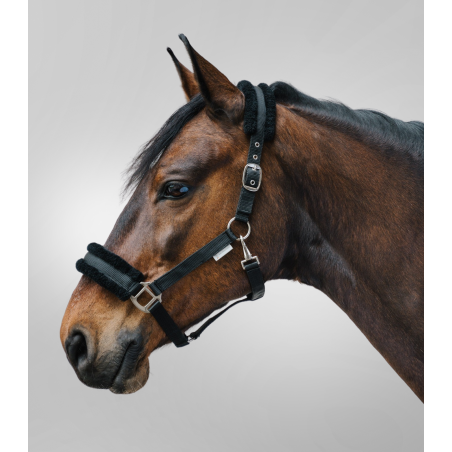 Halster Waldhausen First