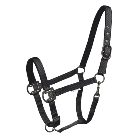 Halter Waldhausen Gloomy