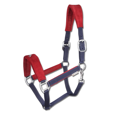 Waldhausen halster Island Hellnar