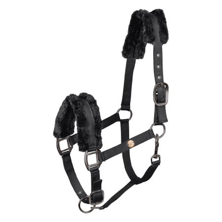 Halter Waldhausen Modern Rosé