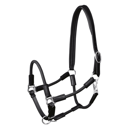 Halster Waldhausen Nevada