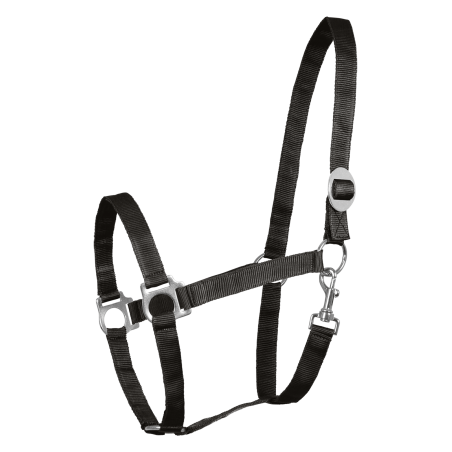 Halter Waldhausen Perlon