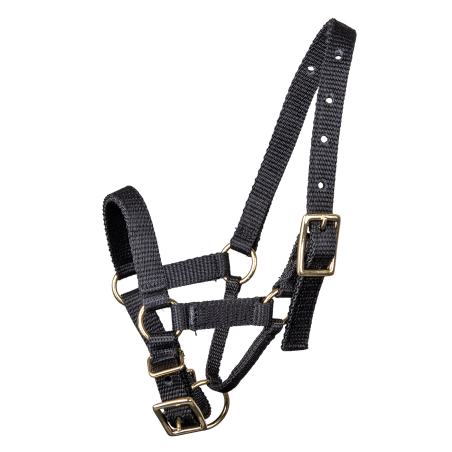 Waldhausen halster voor alpaca