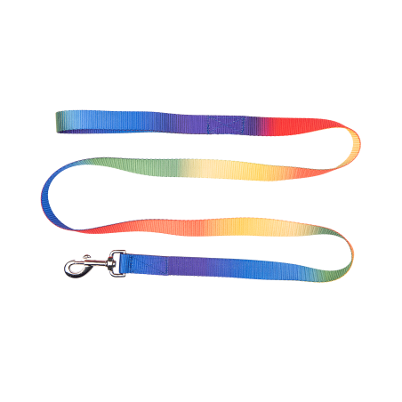 Longe Regenboog Waldhausen