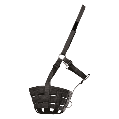 Waldhausen weidekorf