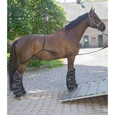Laadplank Waldhausen vrachtwagen