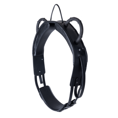 Voltige singel Waldhausen